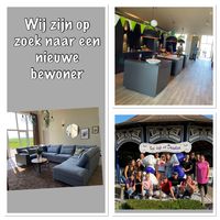 nieuwe bewoner